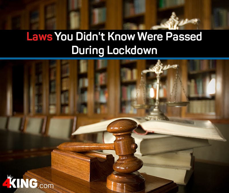 laws you didn’t know were passed during lockdown