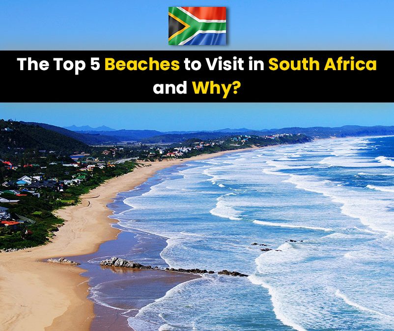 The Top 5 Beaches to Visit in South Africa and Why