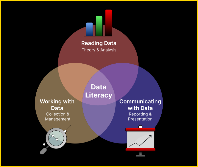 Is Data Literacy The Future of South Africa?