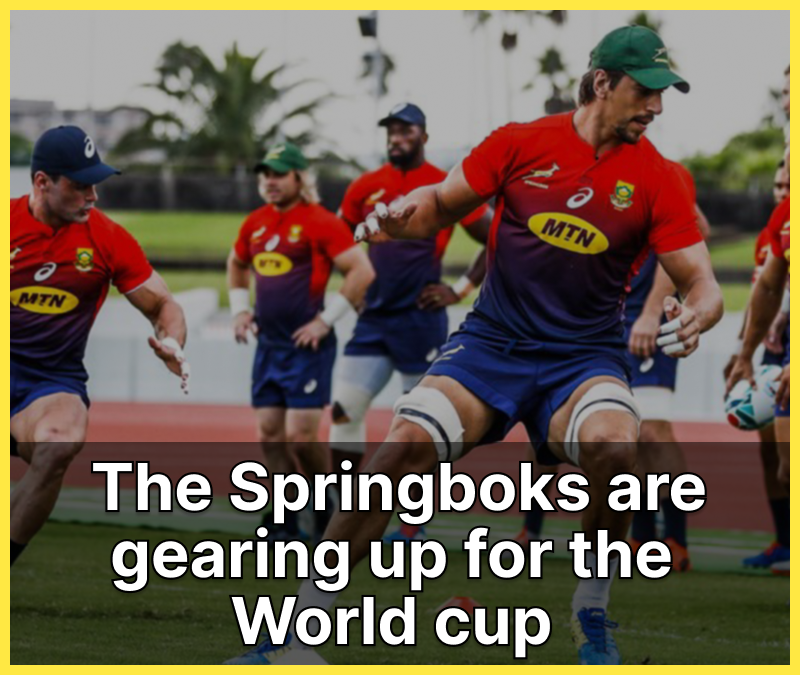 Springboks-Gear-Up-for-The-World-Cup-FI-1.png